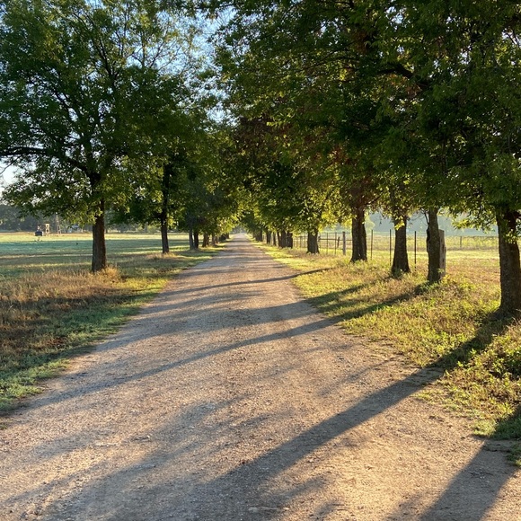 Meet your Posher, DR - Picture 3 of 16